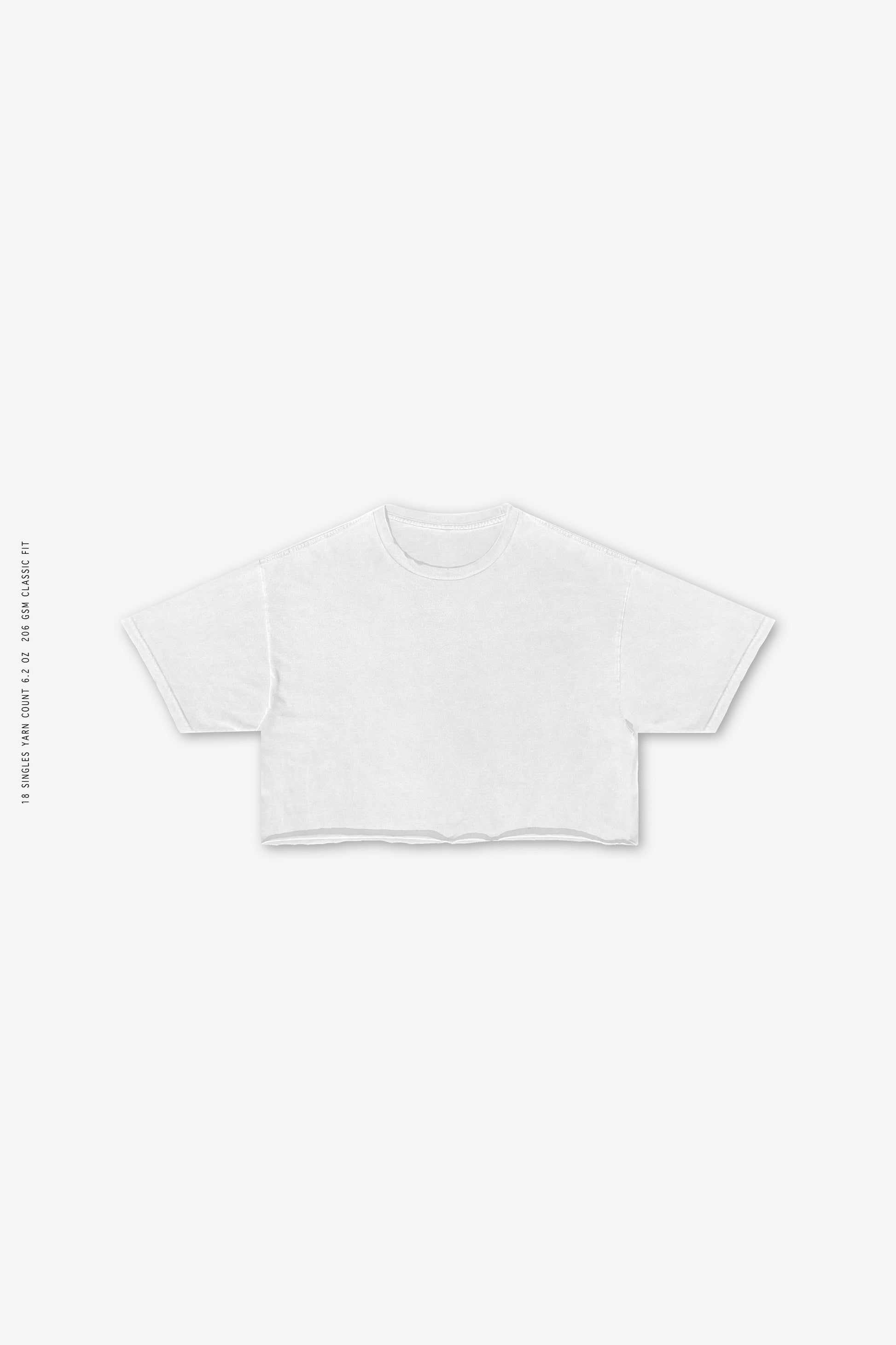 Sixelar festival cropped T-Shirt Best streetwear Blank made in LA.