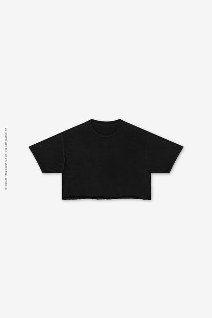 Sixelar festival cropped T-Shirt Best streetwear Blank made in LA. 